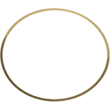 5298565 | Cummins ISX/ISX15/X15 Liner Shim .032' (Set of 6)